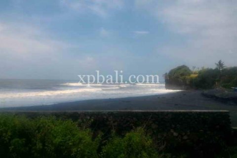 3780m2 Land in Tabanan, Bali (929) 3