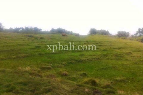 3780m2 Land in Tabanan, Bali (929) 5