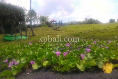 3780m2 Land in Tabanan, Bali (929) 4