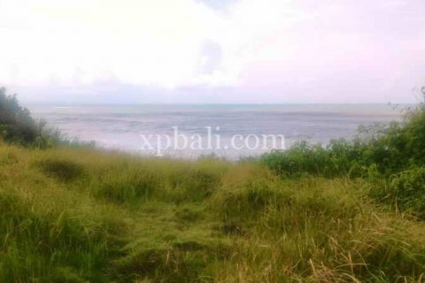 3780m2 Land in Tabanan, Bali (929) 6