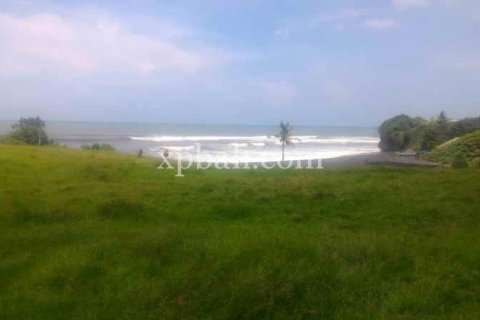 Tanah kavling 3780m2 di Tabanan, Bali (929)