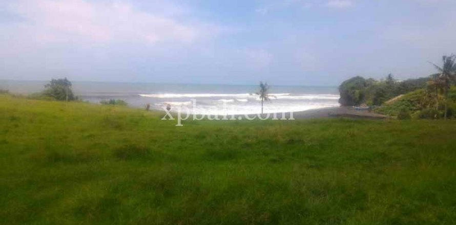 3780m2 Land in Tabanan, Bali (929)
