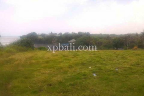 3780m2 Land in Tabanan, Bali (929) 2