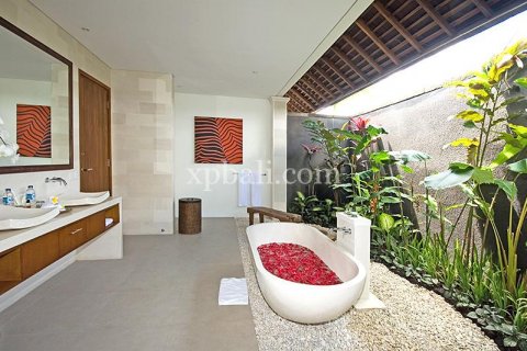 1 bedroom Villa in Canggu, Badung, Bali (913) 5