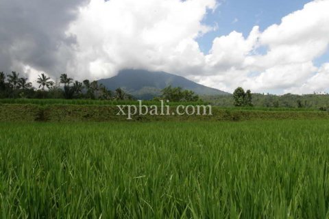 7450m2 Land in Tabanan, Bali (908) 3