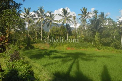 Tanah kavling 7450m2 di Tabanan, Bali (908)