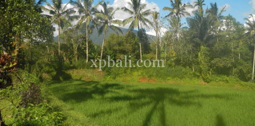 7450m2 Land in Tabanan, Bali (908)