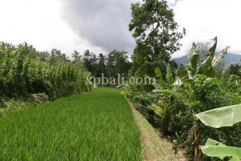 7450m2 Land in Tabanan, Bali (908) 4