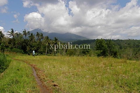 7450m2 Land in Tabanan, Bali (908) 5