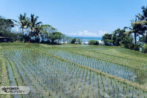 2630m2 Land in Tabanan, Bali (8763) 5