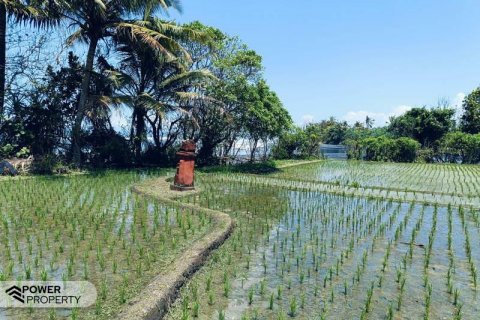 2630m2 Land in Tabanan, Bali (8763) 9