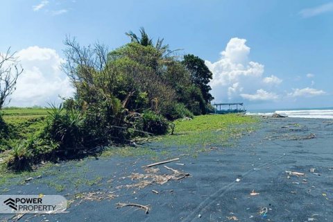 2630m2 Land in Tabanan, Bali (8763) 2