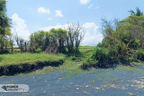 2630m2 Land in Tabanan, Bali (8763) 8