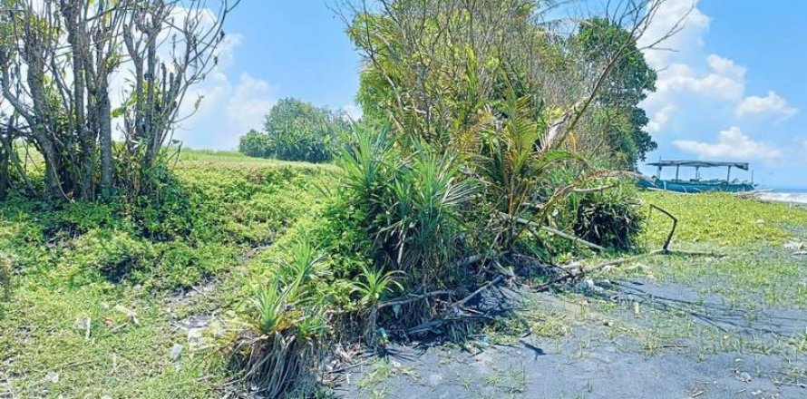 2630m2 Land in Tabanan, Bali (8763)