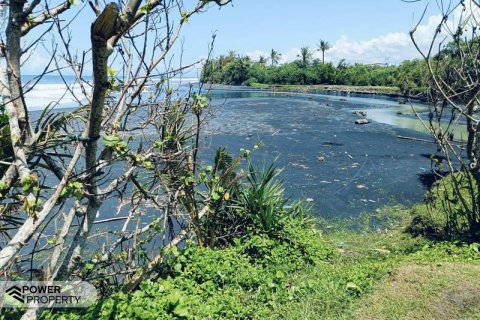 2630m2 Land in Tabanan, Bali (8763) 3