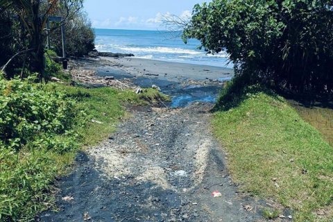 2630m2 Land in Tabanan, Bali (8763) 6