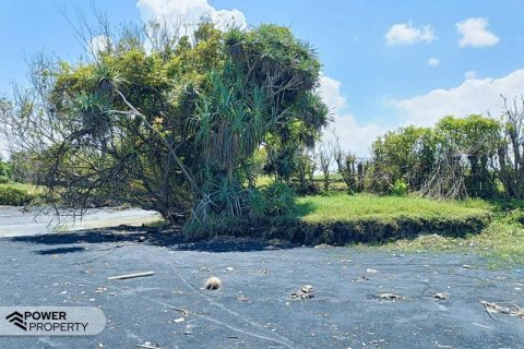 2630m2 Land in Tabanan, Bali (8763) 4