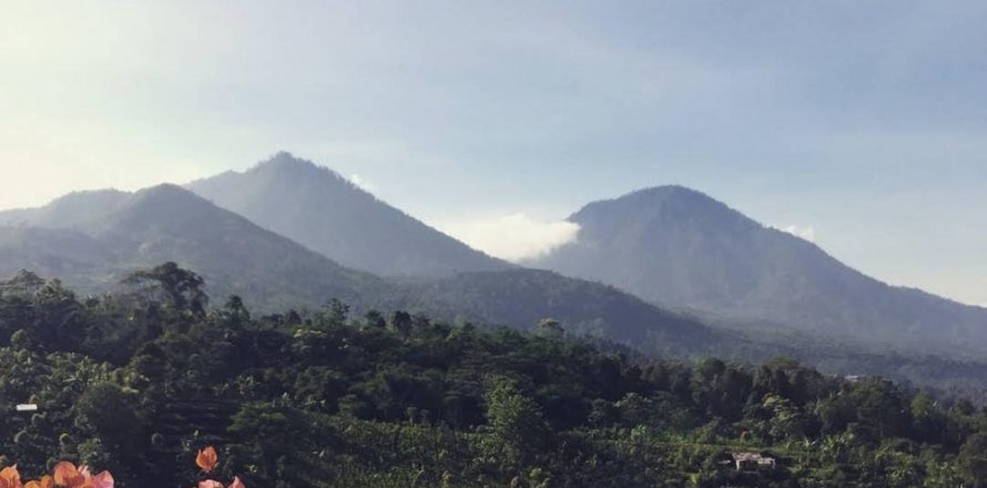 Land in Buleleng, Bali (11950)