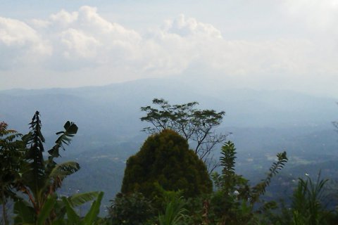 Land in Buleleng, Bali (11950) 3
