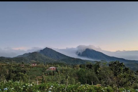 Land in Buleleng, Bali (11950) 2