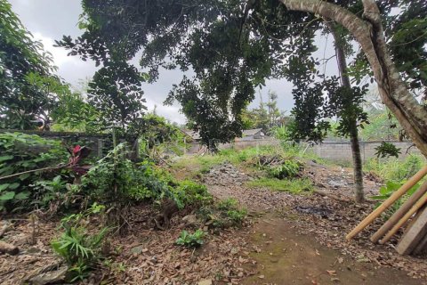 Tanah kavling di Ubud, Gianyar, Bali (4784)