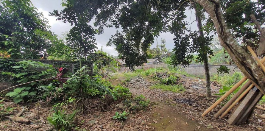Land in Ubud, Gianyar, Bali (4784)