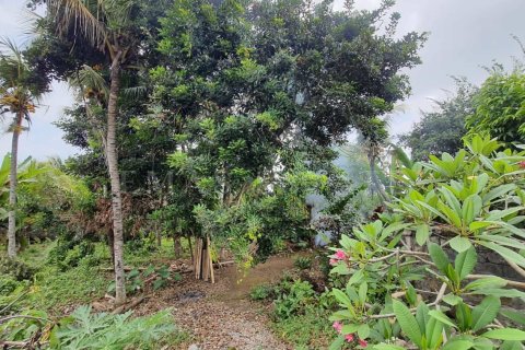 Land in Ubud, Gianyar, Bali (4784) 6