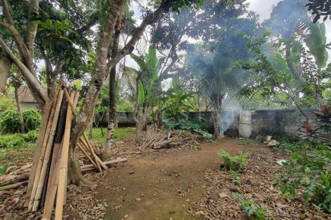 Land in Ubud, Gianyar, Bali (4784) 4