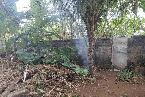 Land in Ubud, Gianyar, Bali (4784) 5