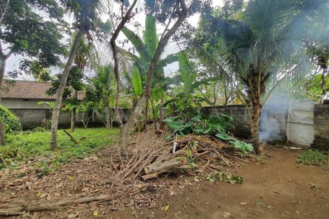 Land in Ubud, Gianyar, Bali (4784) 3