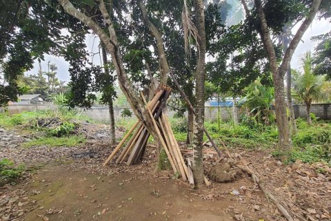 Land in Ubud, Gianyar, Bali (4784) 2