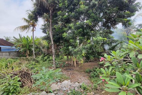 Land in Ubud, Gianyar, Bali (4784) 7