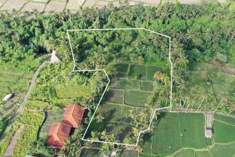 Tanah kavling di Ubud, Gianyar, Bali (4786)