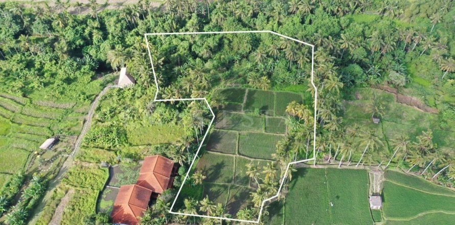 Land in Ubud, Gianyar, Bali (4786)