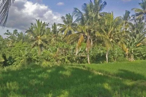 Land in Ubud, Gianyar, Bali (4786) 4
