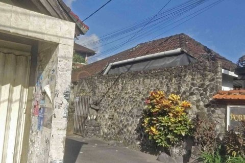Land in Ubud, Gianyar, Bali (4786) 3