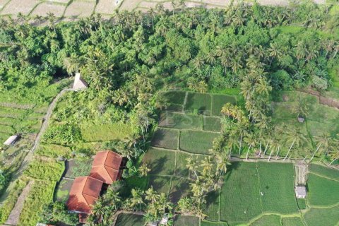 Land in Ubud, Gianyar, Bali (4786) 2