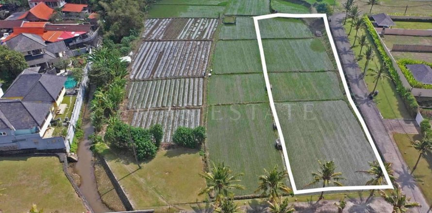 Land in Sukawati, Gianyar, Bali (4785)