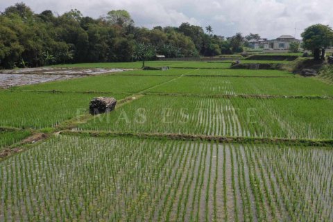 Land in Sukawati, Gianyar, Bali (4785) 7