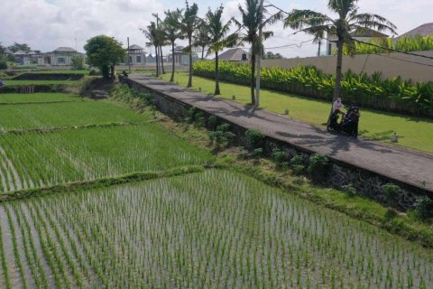 Land in Sukawati, Gianyar, Bali (4785) 3
