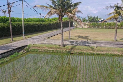 Land in Sukawati, Gianyar, Bali (4785) 2