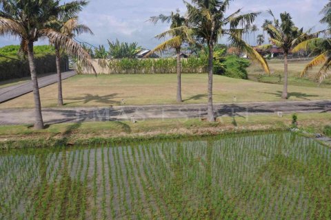 Land in Sukawati, Gianyar, Bali (4785) 8