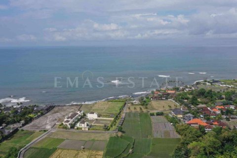 Land in Sukawati, Gianyar, Bali (4785) 5