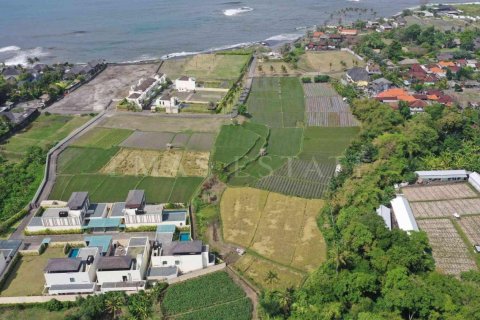 Land in Sukawati, Gianyar, Bali (4785) 4