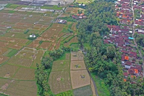 Land in Sukawati, Gianyar, Bali (4788) 4