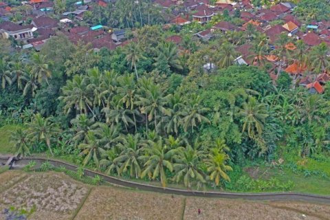 Land in Sukawati, Gianyar, Bali (4788) 2