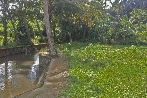 Land in Sukawati, Gianyar, Bali (4788) 6
