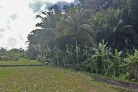 Land in Sukawati, Gianyar, Bali (4788) 3