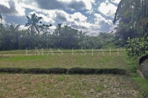 Land in Sukawati, Gianyar, Bali (4788) 5