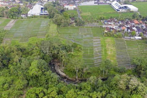 Land in Kediri, Tabanan, Bali (4782) 5